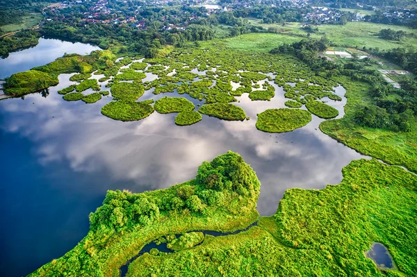 Hébergement web écologique : image d'une nature préservée.